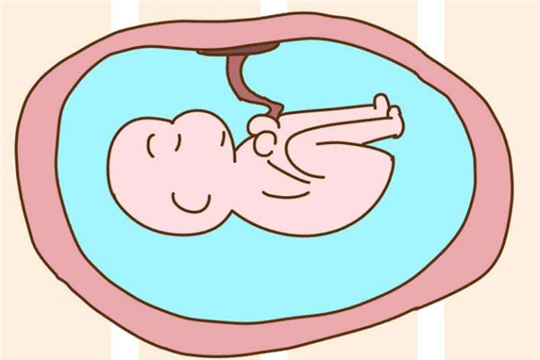 子宮移植幫助實現(xiàn)懷孕夢想 子宮移植幫助實現(xiàn)懷孕夢想