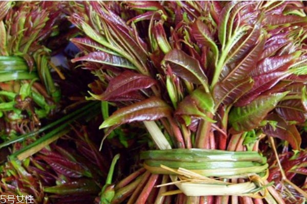 香椿的功效和作用 香椿的營養(yǎng)價值 香椿的功效和作用 香椿的營養(yǎng)價值