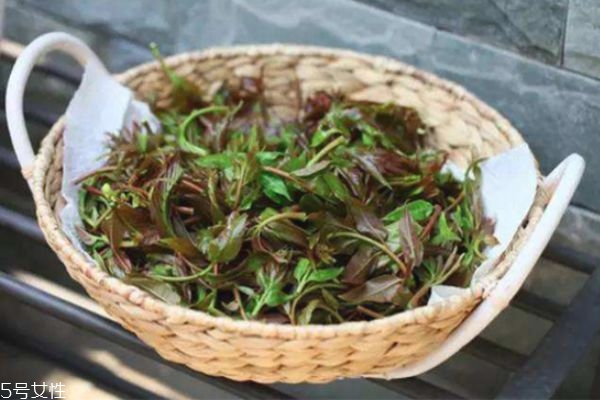 香椿是否要過(guò)水 吃香椿的好處及吃法