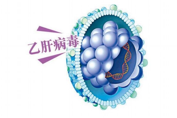 乙肝是怎么引起的 乙肝傳播途徑有哪些 乙肝是怎么引起的 乙肝傳播途徑有哪些