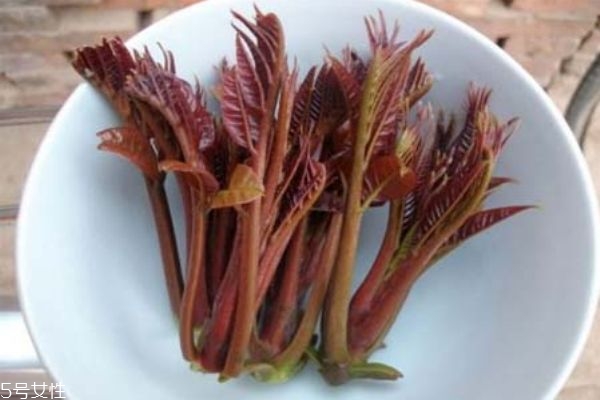 香椿的功效和作用 香椿的營養(yǎng)價值 香椿的功效和作用 香椿的營養(yǎng)價值