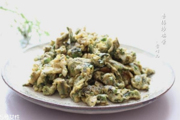 香椿不能和什么一起吃 香椿的家常做法 香椿不能和什么一起吃 香椿的家常做法