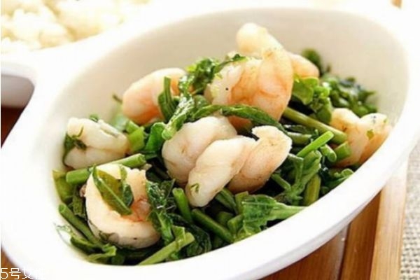 香椿不能和什么一起吃 香椿的家常做法 香椿不能和什么一起吃 香椿的家常做法