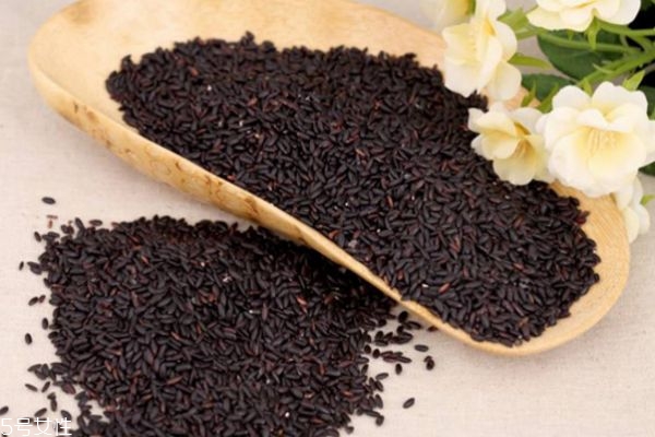 吃黑米粥會上火嗎 黑米的功效與作用 吃黑米粥會上火嗎 黑米的功效與作用