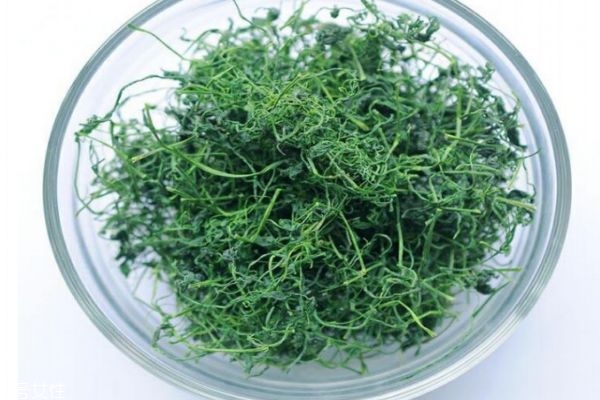 絞股藍(lán)泡水苦嗎 絞股藍(lán)茶什么味道 絞股藍(lán)泡水苦嗎 絞股藍(lán)茶什么味道