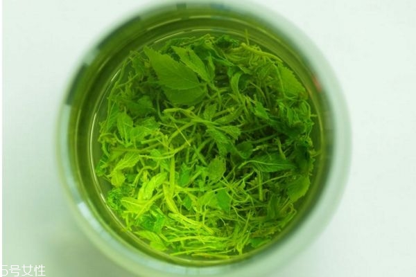 絞股藍(lán)泡水溫度是多少 絞股藍(lán)茶怎么泡 絞股藍(lán)泡水溫度是多少 絞股藍(lán)茶怎么泡