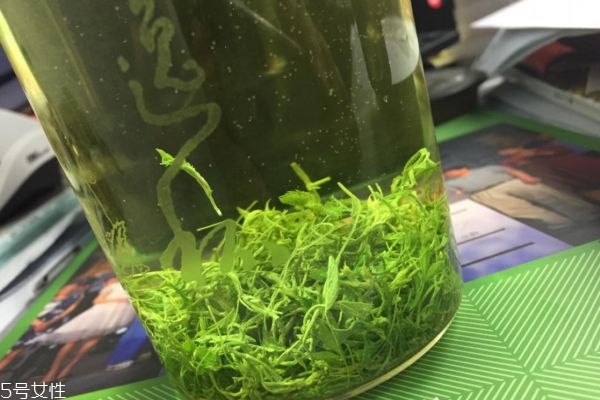 絞股藍(lán)龍須茶降血壓?jiǎn)?絞股藍(lán)茶正確的飲用方法 絞股藍(lán)龍須茶降血壓?jiǎn)?絞股藍(lán)茶正確的飲用方法