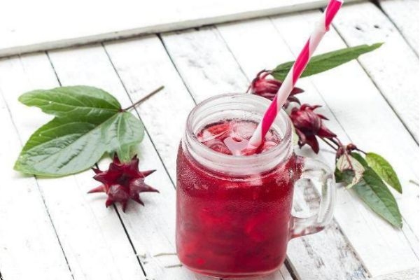 洛神花是什么花 洛神花其實不是花 洛神花是什么花 洛神花其實不是花