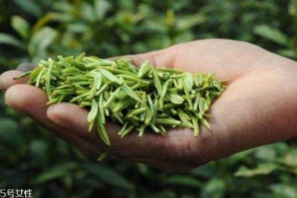 用茶葉洗頭有什么好處 茶水洗頭發(fā)的正確方法 用茶葉洗頭有什么好處 茶水洗頭發(fā)的正確方法