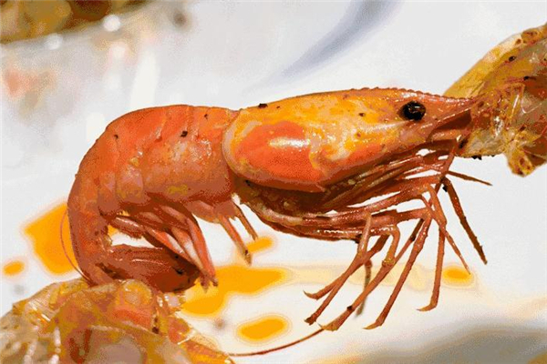 大頭蝦是海蝦還是河蝦 大頭蝦屬性介紹 大頭蝦是海蝦還是河蝦 大頭蝦屬性介紹