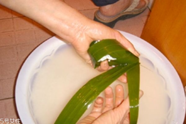 包粽子用的是什么葉子 這幾種葉子都可以包粽子 包粽子用的是什么葉子 這幾種葉子都可以包粽子