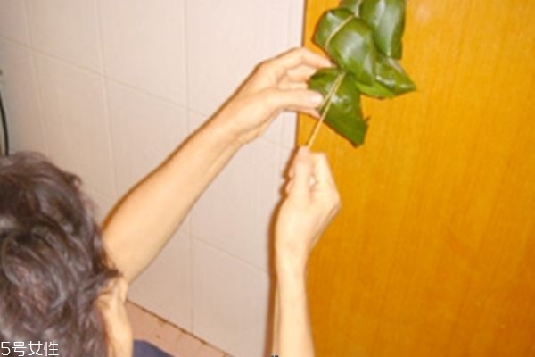 包粽子用的是什么葉子 這幾種葉子都可以包粽子 包粽子用的是什么葉子 這幾種葉子都可以包粽子