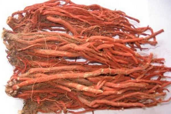 丹參是什么 丹參的價格多少錢 丹參是什么 丹參的價格多少錢