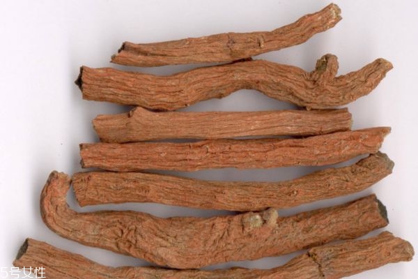 丹參泡水喝的好處 丹參的功效與作用 丹參泡水喝的好處 丹參的功效與作用