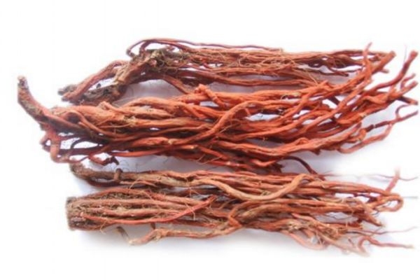 丹參泡水喝的好處 丹參的功效與作用 丹參泡水喝的好處 丹參的功效與作用