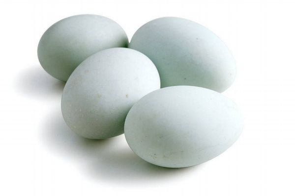 孕婦可以吃烏雞蛋嗎 烏雞蛋不適合什么人吃 孕婦可以吃烏雞蛋嗎 烏雞蛋不適合什么人吃