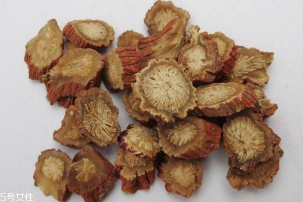 丹參怎么泡水喝 丹參泡水喝的副作用 丹參怎么泡水喝 丹參泡水喝的副作用