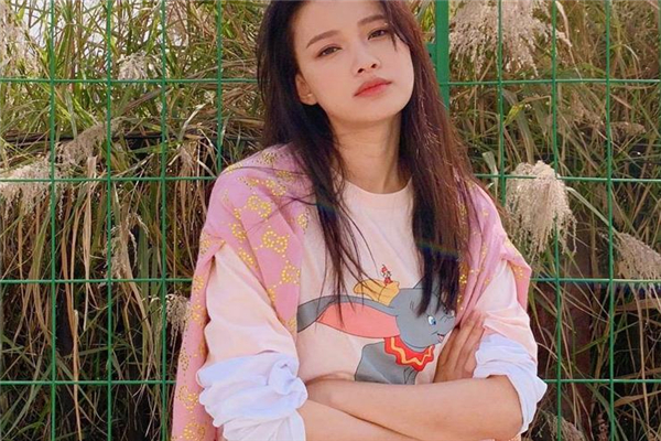 loewe小飛象t恤多少錢 羅意威小飛象價格 loewe小飛象t恤多少錢 羅意威小飛象價格