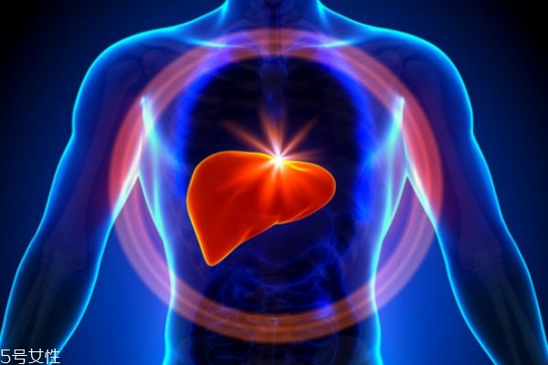 肝腎病可能出現(xiàn)的癥狀 肝腎如何排毒 肝腎病可能出現(xiàn)的癥狀 肝腎如何排毒