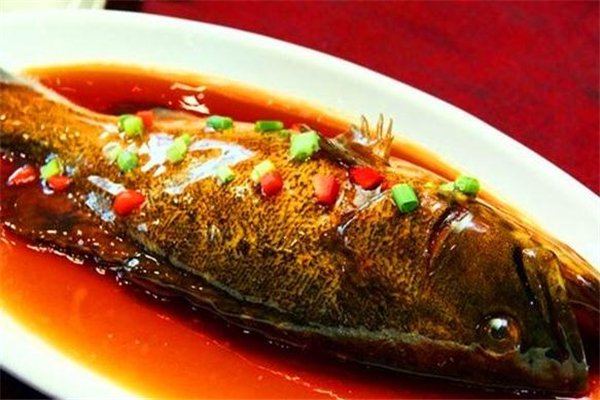 紅燒石斑魚的做法 家常做法很簡單 紅燒石斑魚的做法 家常做法很簡單