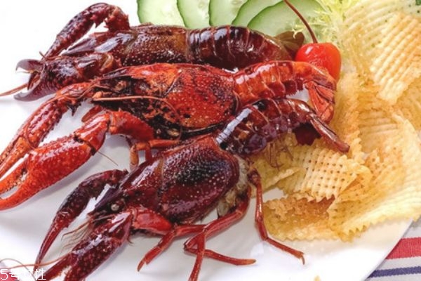 小龍蝦幾月最肥 這三個(gè)月的小龍蝦最好吃 小龍蝦幾月最肥 這三個(gè)月的小龍蝦最好吃