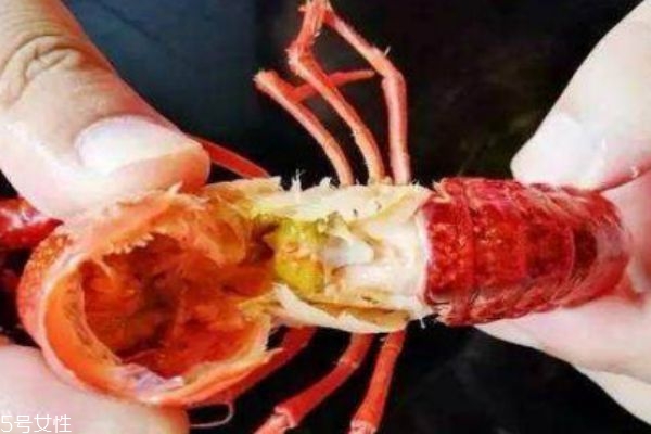 小龍蝦的黃到底能不能吃 怎么判斷是否是死蝦 小龍蝦的黃到底能不能吃 怎么判斷是否是死蝦