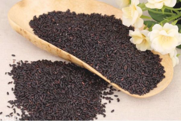 黑米怎么辨別真假 黑米真假辨別有高招 黑米怎么辨別真假 黑米真假辨別有高招