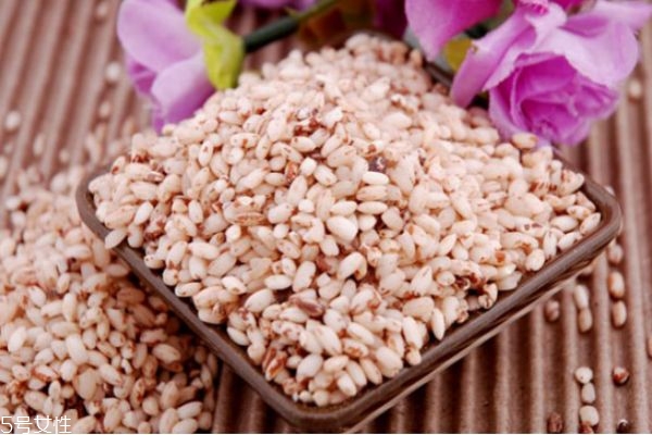 包粽子可以用大米嗎 包粽子選擇什么米 包粽子可以用大米嗎 包粽子選擇什么米