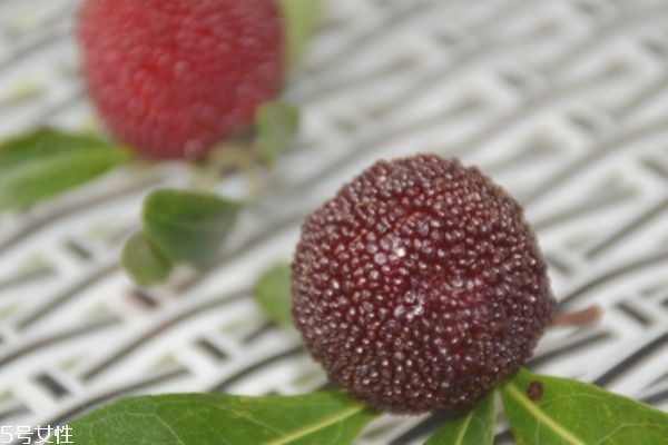 楊梅汁解酒嗎 楊梅汁的好處 楊梅汁解酒嗎 楊梅汁的好處