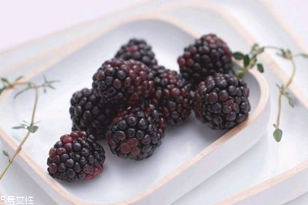 桑葚上有蟲子怎么清洗 為什么有的桑葚里會(huì)有蟲子 桑葚上有蟲子怎么清洗 為什么有的桑葚里會(huì)有蟲子