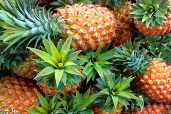 如何挑選菠蘿 菠蘿挑選的技巧 如何挑選菠蘿 菠蘿挑選的技巧