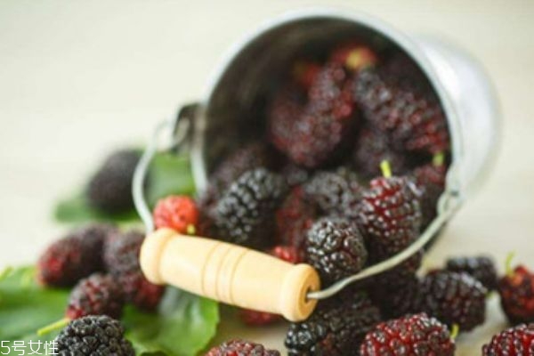 桑葚可以放幾天 建議放入冰箱冷藏 桑葚可以放幾天 建議放入冰箱冷藏