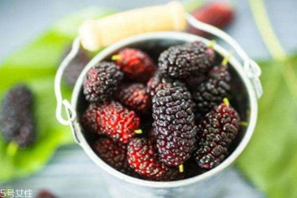 桑葚可以放幾天 建議放入冰箱冷藏 桑葚可以放幾天 建議放入冰箱冷藏