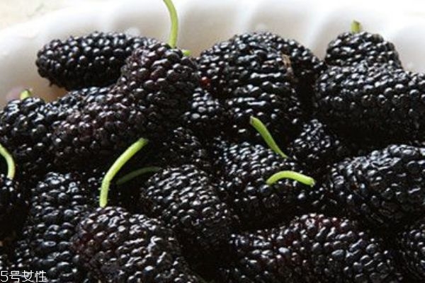 桑葚把手染了怎么洗 桑葚吃了為什么會(huì)變色 桑葚把手染了怎么洗 桑葚吃了為什么會(huì)變色