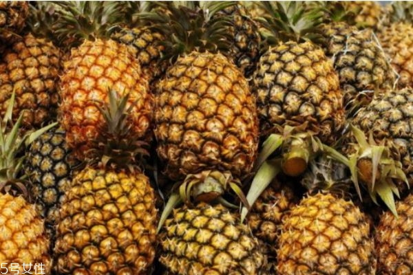 如何挑選菠蘿 菠蘿挑選的技巧 如何挑選菠蘿 菠蘿挑選的技巧