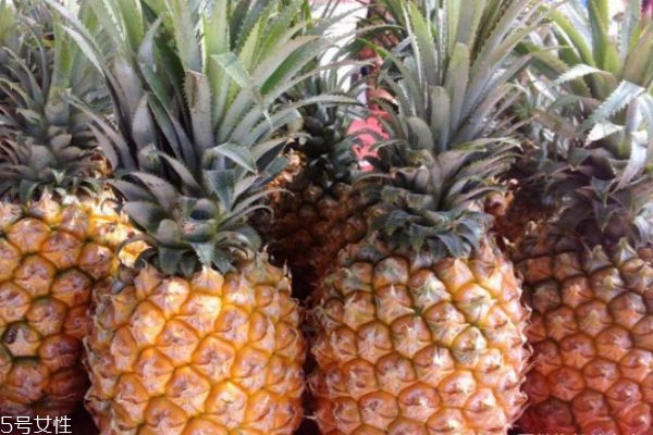 如何挑選菠蘿 菠蘿挑選的技巧 如何挑選菠蘿 菠蘿挑選的技巧