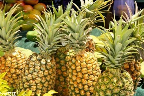 怎么吃菠蘿減肥 菠蘿的吃法 怎么吃菠蘿減肥 菠蘿的吃法