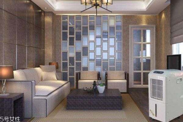 除濕機可以烘干衣服嗎 可以烘干衣服的 除濕機可以烘干衣服嗎 可以烘干衣服的