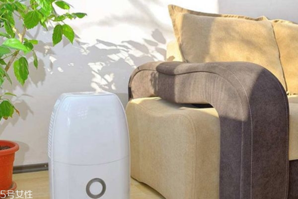 除濕機可以烘干衣服嗎 可以烘干衣服的 除濕機可以烘干衣服嗎 可以烘干衣服的