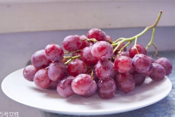 提子是熱帶水果嗎 提子上火嗎 提子是熱帶水果嗎 提子上火嗎