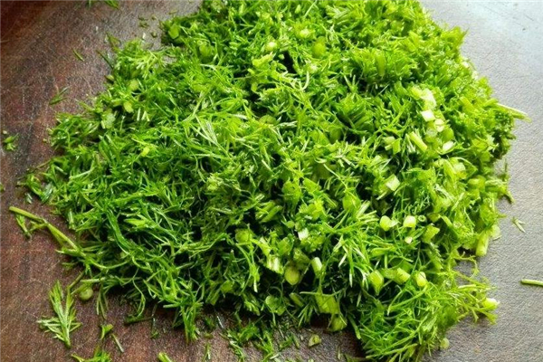 茴香一天吃多少合適 不建議過多食用 茴香一天吃多少合適 不建議過多食用