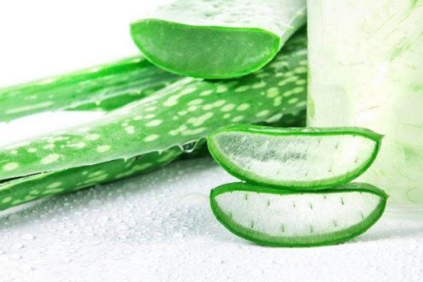 蘆薈灌膚排毒是什么 蘆薈灌膚的好處與副作用 蘆薈灌膚排毒是什么 蘆薈灌膚的好處與副作用