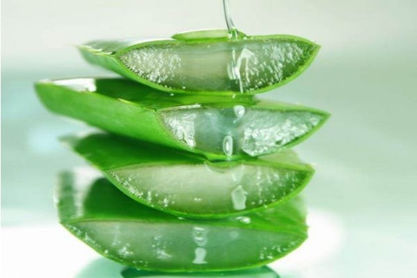 蘆薈灌膚怎么做 蘆薈灌膚的步驟 蘆薈灌膚怎么做 蘆薈灌膚的步驟