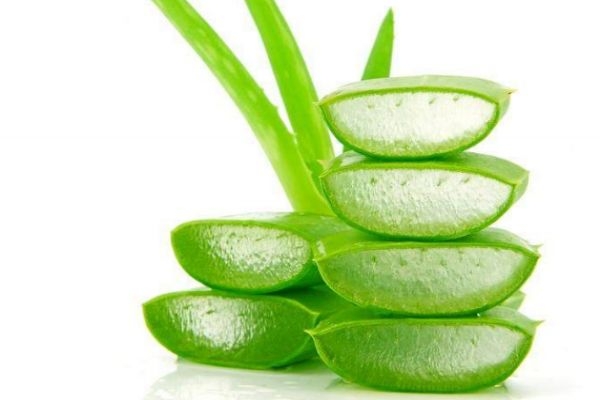 蘆薈灌膚排毒是什么 蘆薈灌膚的好處與副作用 蘆薈灌膚排毒是什么 蘆薈灌膚的好處與副作用
