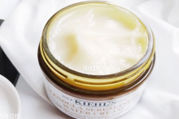 科顏氏金盞花爆水霜好用嗎 油皮也能駕馭 科顏氏金盞花爆水霜好用嗎 油皮也能駕馭