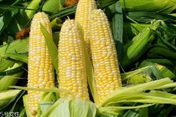 玉米須可以長期喝嗎 可以長期食用 玉米須可以長期喝嗎 可以長期食用