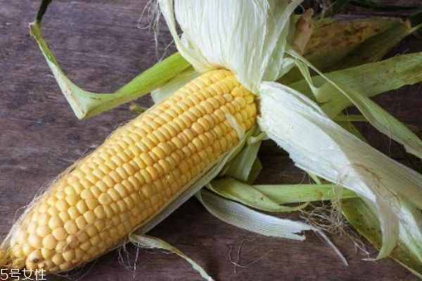 玉米須怎么煮水 喝玉米須水的好處 玉米須怎么煮水 喝玉米須水的好處