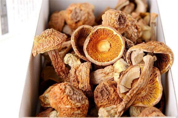 姬松茸吃多了會中毒嗎 有這個可能 姬松茸吃多了會中毒嗎 有這個可能