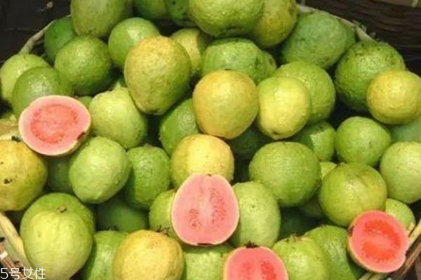 芭樂(lè)是軟的還是硬的 選芭樂(lè)的技巧 芭樂(lè)是軟的還是硬的 選芭樂(lè)的技巧