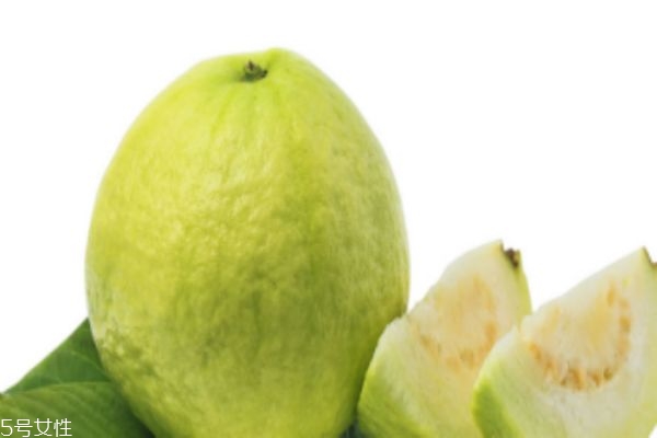 芭樂(lè)催熟辦法 紅心芭樂(lè)和白心芭樂(lè)的區(qū)別 芭樂(lè)催熟辦法 紅心芭樂(lè)和白心芭樂(lè)的區(qū)別